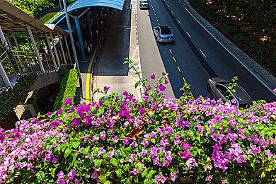 赛博侦探登场！《牛车水侦探社》4月7日正式发售